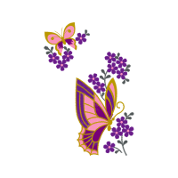 Pieridae Animals Pieridae Animals