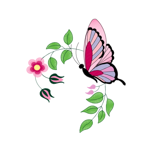 Pieridae Animals Pieridae Animals