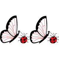 Pieridae Animals Pieridae Animals