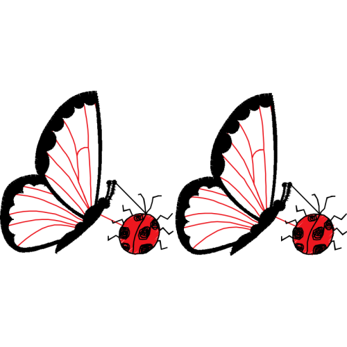 Pieridae Animals Pieridae Animals