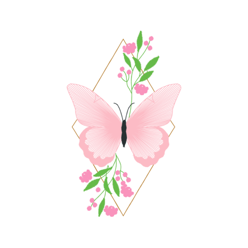 Pieridae Animals Pieridae Animals