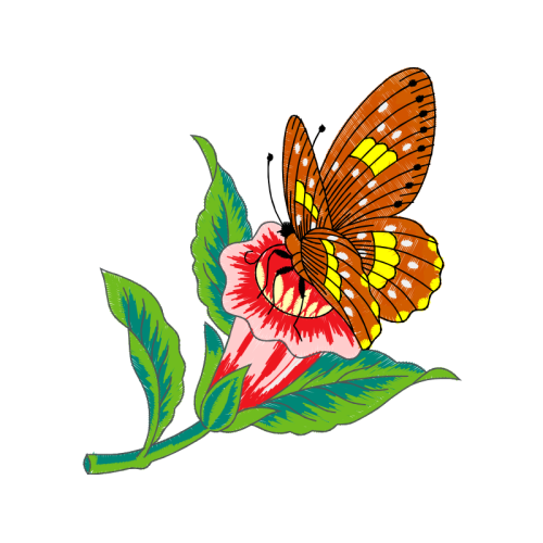 Pieridae Animals Pieridae Animals