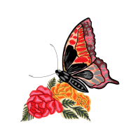 Pieridae Animals Pieridae Animals