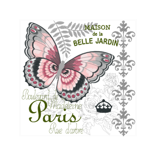 Pieridae Animals Pieridae Animals