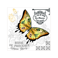 Pieridae Animals Pieridae Animals