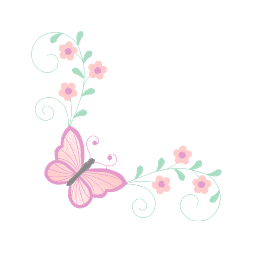 Pieridae Animals Pieridae Animals