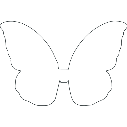 Pieridae Animals Pieridae Animals