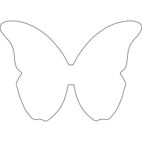 Pieridae Animals Pieridae Animals