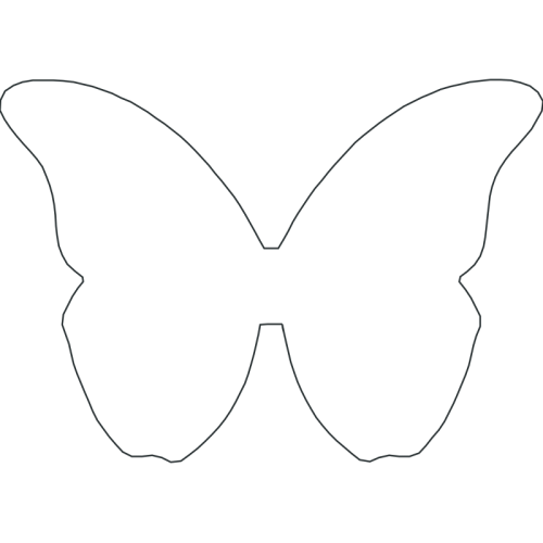 Pieridae Animals Pieridae Animals