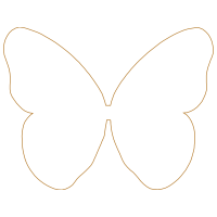 Pieridae Animals Pieridae Animals