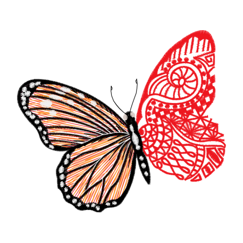 Pieridae Animals Pieridae Animals