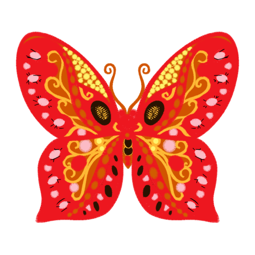 Pieridae Animals Pieridae Animals