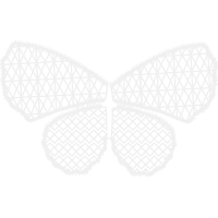 Pieridae Animals Pieridae Animals