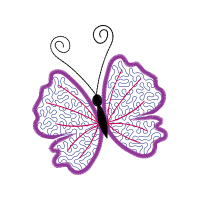 Pieridae Animals Pieridae Animals