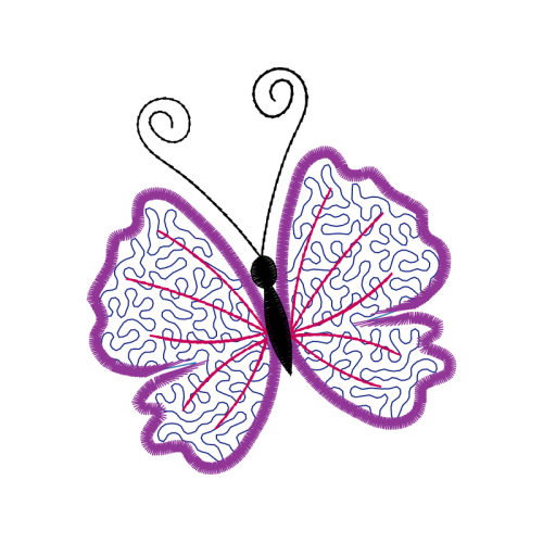 Pieridae Animals Pieridae Animals