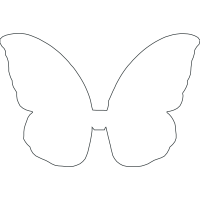 Pieridae Animals Pieridae Animals