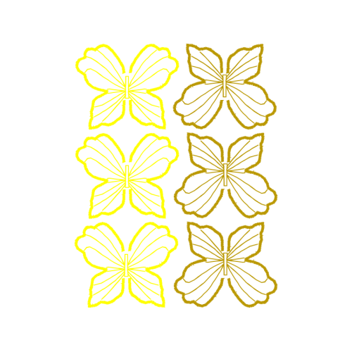 Pieridae Animals Pieridae Animals