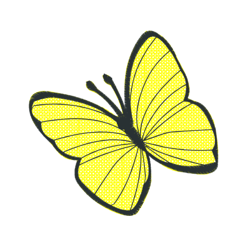 Pieridae Animals Pieridae Animals