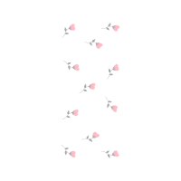 Pieridae Animals Pieridae Animals