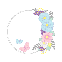 Pieridae Animals Pieridae Animals