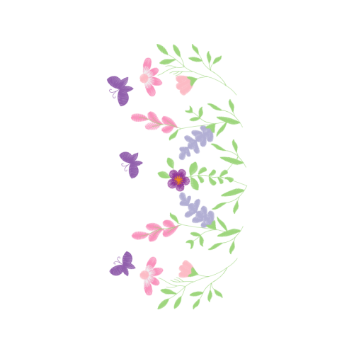 Pieridae Animals Pieridae Animals