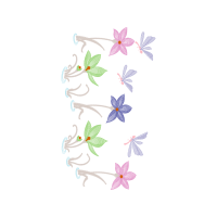 Pieridae Animals Pieridae Animals