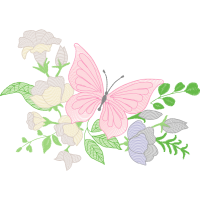 Pieridae Animals Pieridae Animals