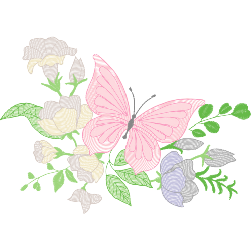 Pieridae Animals Pieridae Animals