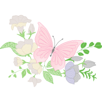 Pieridae Animals Pieridae Animals