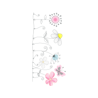 Pieridae Animals Pieridae Animals