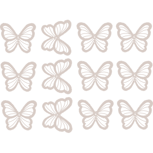 Pieridae Animals Pieridae Animals