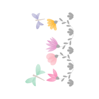 Pieridae Animals Pieridae Animals