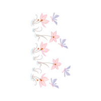 Pieridae Animals Pieridae Animals