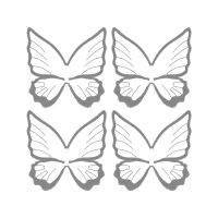 Pieridae Animals Pieridae Animals