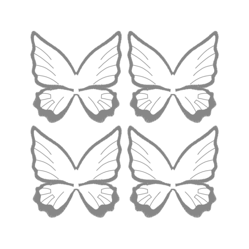 Pieridae Animals Pieridae Animals