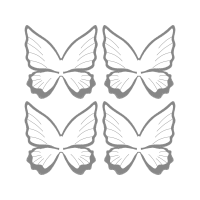 Pieridae Animals Pieridae Animals