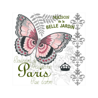 Pieridae Animals Pieridae Animals