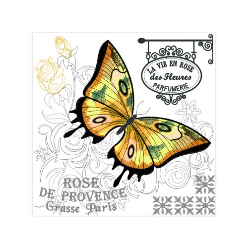 Pieridae Animals Pieridae Animals