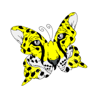 Pieridae Animals Pieridae Animals