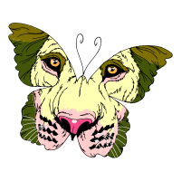 Pieridae Animals Pieridae Animals