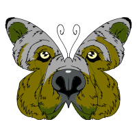 Pieridae Animals Pieridae Animals