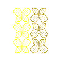 Pieridae Animals Pieridae Animals