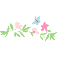 Polyommatus Animals Polyommatus Animals