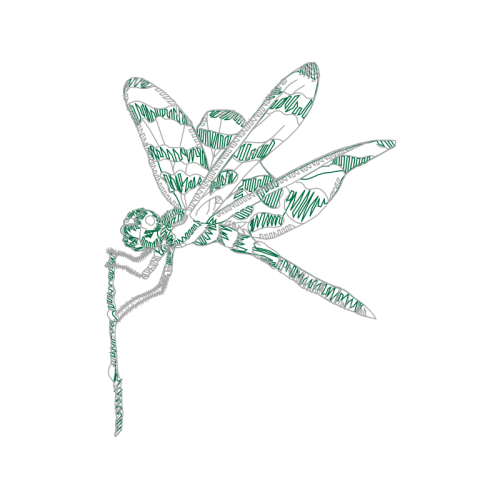 Pterygota Animals Pterygota Animals