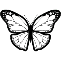 Ringz And Thingz Animals Ringz And Thingz Animals