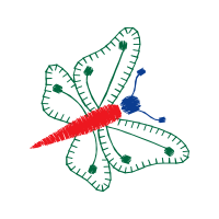 Rotary Converter Animals