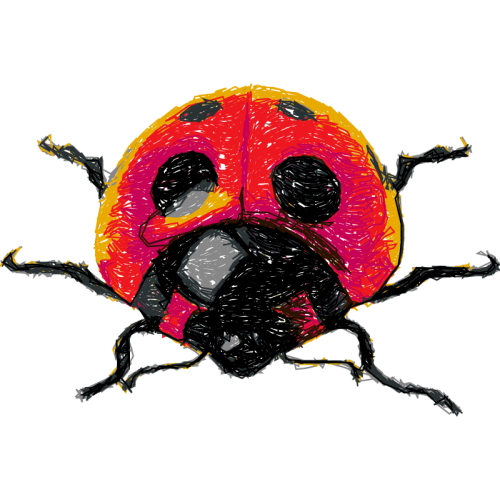 Seven Spot Ladybird Animals Seven Spot Ladybird Animals