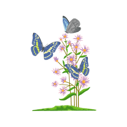 Short Tailed Blue Animals Short Tailed Blue Animals