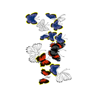 Short Tailed Blue Animals