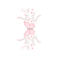 Sketch Animals Sketch Animals